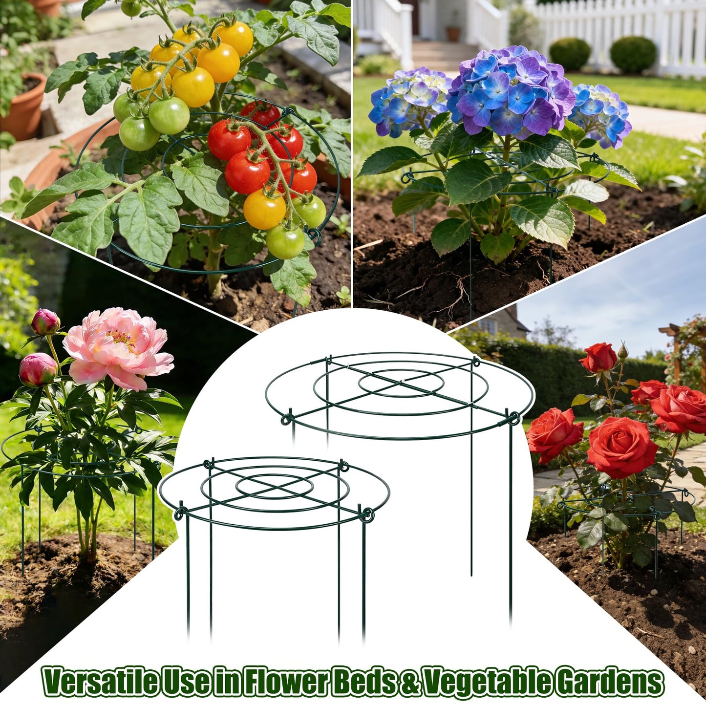 Peony Cages and Supports 8 Pack, 16.5 x 20 Inch Heavy Duty Plant Support Cage Set for Peonies, Roses & Tomatoes – Garden Stakes & Plant Cages for Outdoor Plants (8 Pack, 16.5 x 20 Inch)
