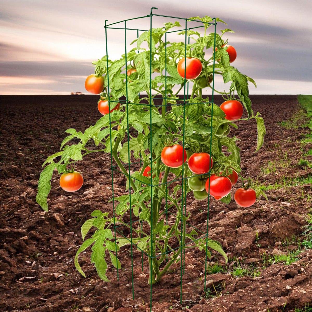 46" Height 12" Width 2PCS Green Square Folding Tomato Cage,Plant Support Stake Tower