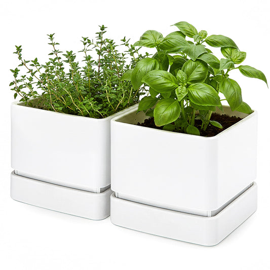 D'vine Dev 6 Inch Herb Planter Pot, Plastic Planter with Drainage Holes and Saucer, Modern Decorative Gardening Pot for Indoor Plants, Flowers, Herbs, Succulents, White, Set of 2, 76-Y-A2-2