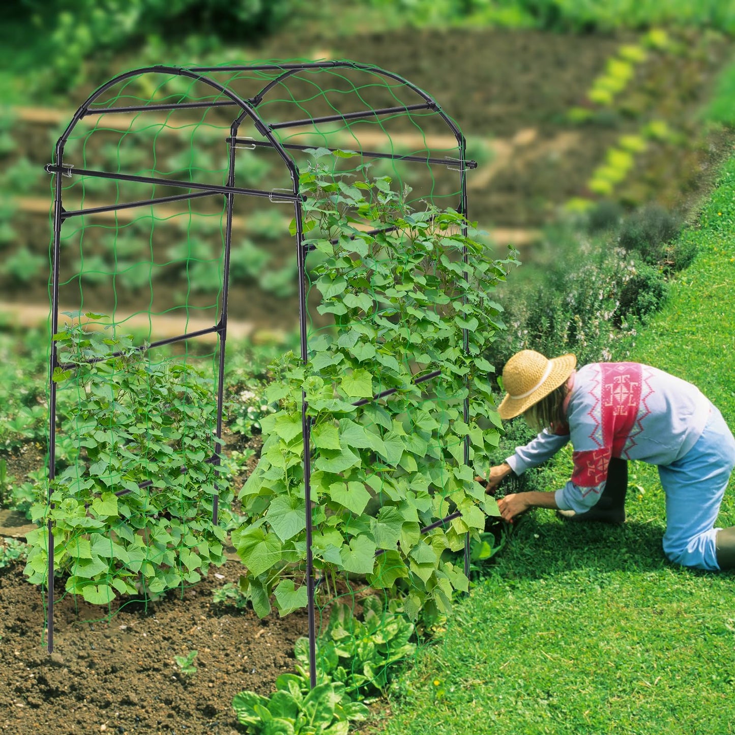 FOLLOOK Cucumber Trellis, 6.7ft Tall Garden Arch Trellis for Climbing Plants Outdoor Arbor Support Vine Vegetable Tomato Bean Pea Grape Squash Pumpkin Cucumber Raised Bed, Lightweight, Black