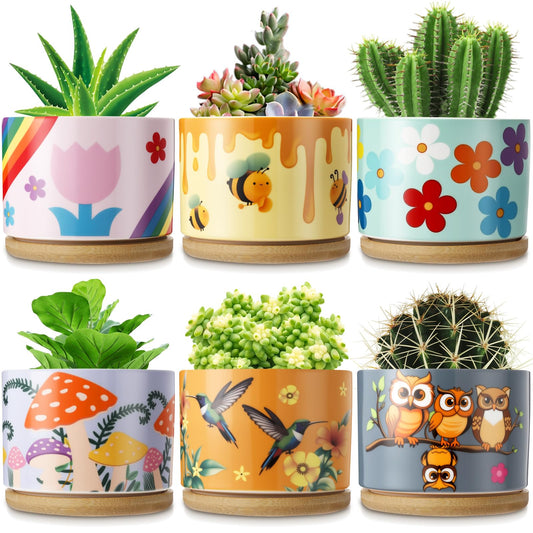 LOYIM 6 Pcs Ceramic Succulent Pots with Drainage and Bamboo Trays, Aesthetic Flower Planters for Spring Decor, Cute Decorative Succulent Pots for Mothers Day, Plant Lovers Gift, 3.7 Inch
