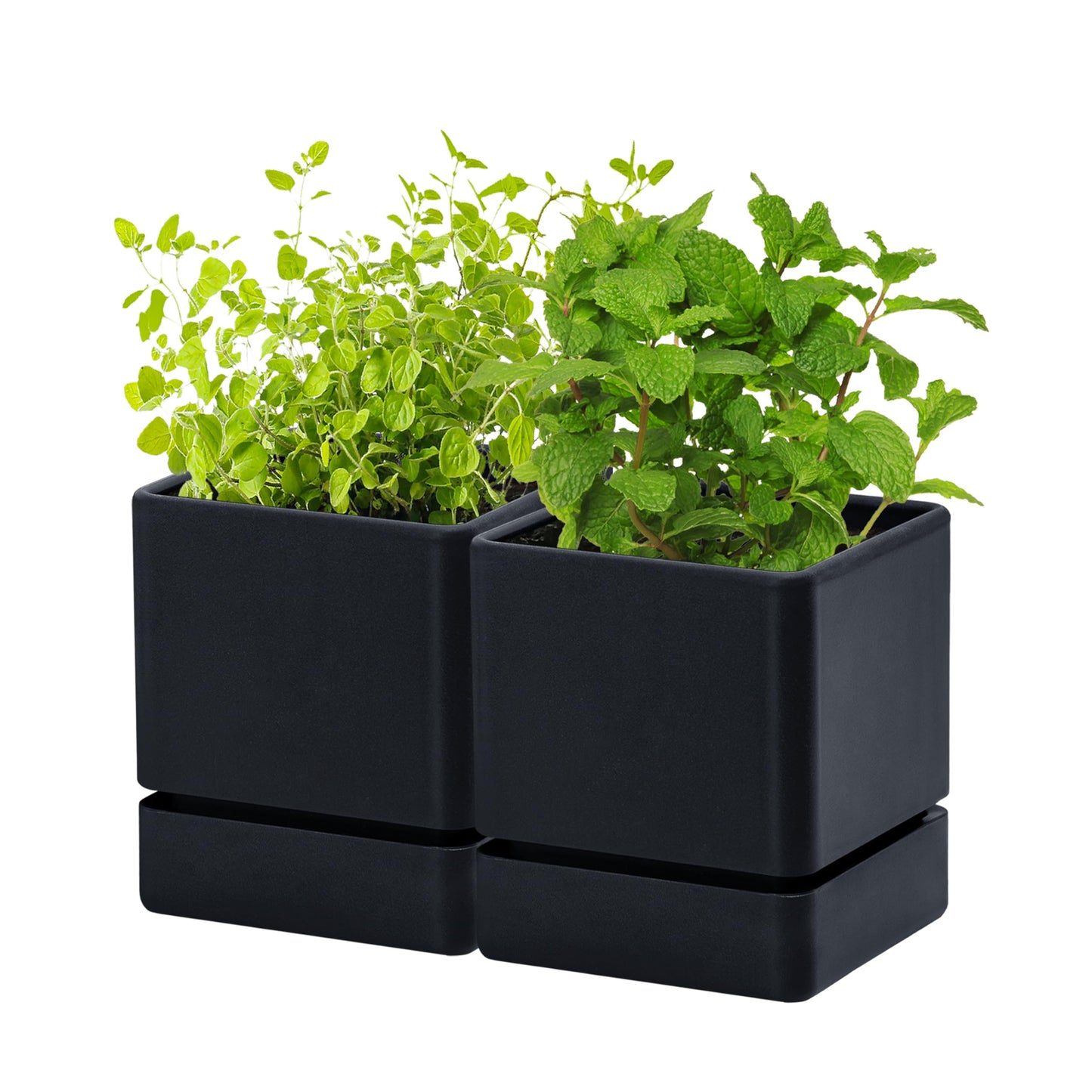D'vine Dev 4 Inch Herb Planter Pot, Plastic Planter with Drainage Holes and Saucer, Modern Decorative Gardening Pot for Indoor Plants, Flowers, Herbs, Succulents, Black, Set of 2, 76-Y-B2-1