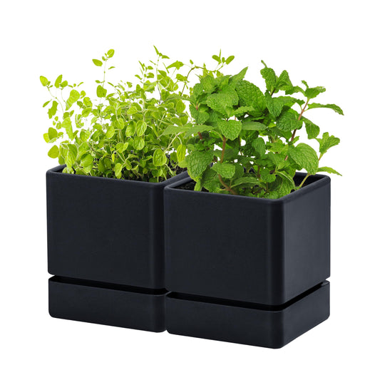D'vine Dev 4 Inch Herb Planter Pot, Plastic Planter with Drainage Holes and Saucer, Modern Decorative Gardening Pot for Indoor Plants, Flowers, Herbs, Succulents, Black, Set of 2, 76-Y-B2-1