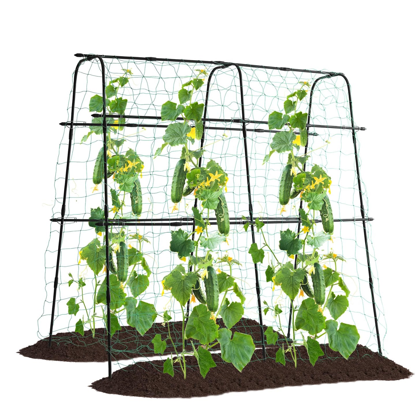 FOLLOOK Cucumber Trellis for Raised Bed, 5x5ft Metal Garden Trellis Climbing Plants Outdoor Tomato Plant Support Grape Vegetables Squash Bean Pea Cucumber Trellis, with Netting, Black