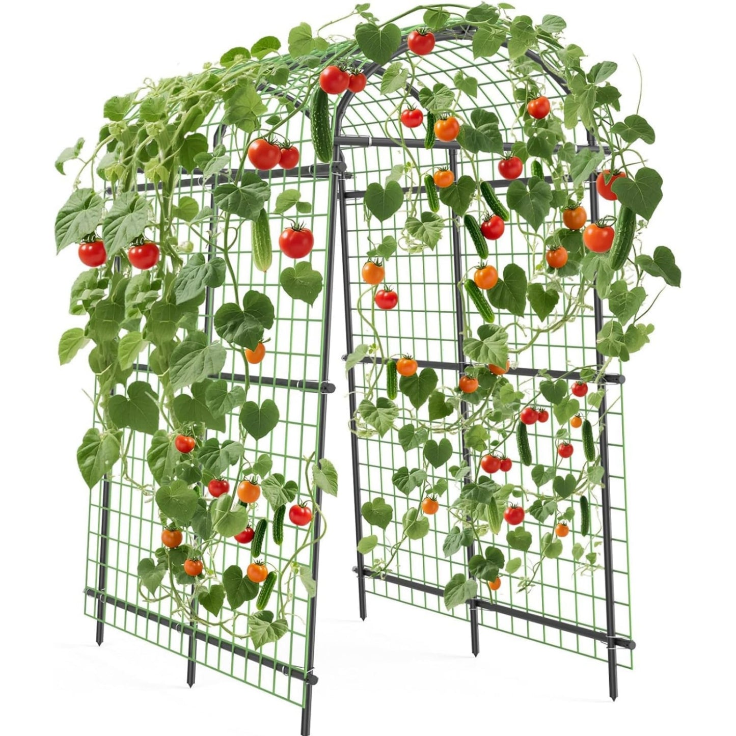Garden Arch Trellis, 7.5FT Extra Tall Polyethylene-Coated Stainless Steel Garden Trellis for Climbing Plants, Vegetables, Flowers, Outdoor Pergola Arbor Wedding Party Decoration, Cucumber Trellis, Gar