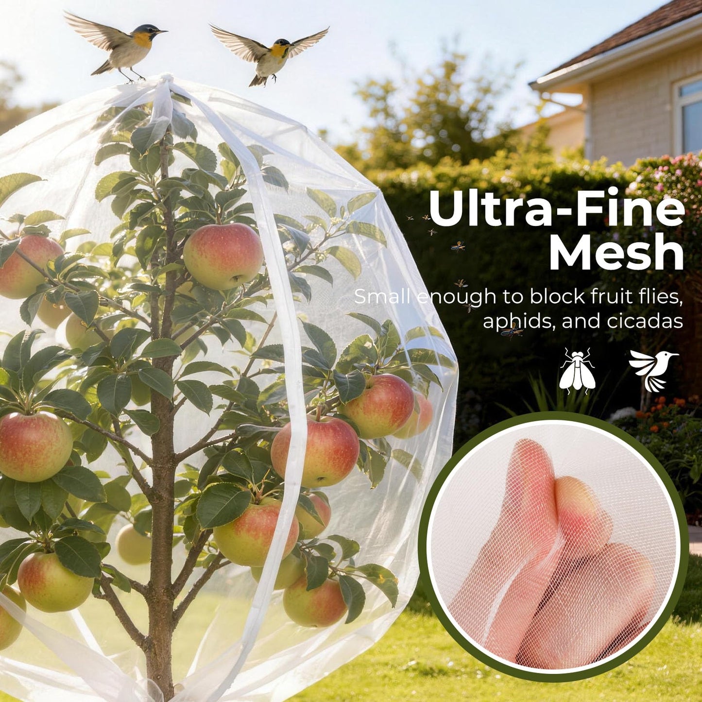 Homoda Fruit Tree Netting Cover with Zipper & Drawstring, 2 Packs 8ft x 8ft Insect Bird Barrier Netting for Garden Protection, Ultra Fine Mesh Garden Netting