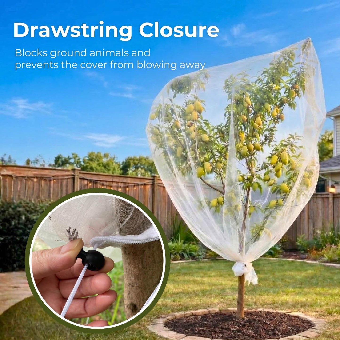 Homoda Fruit Tree Netting Cover with Zipper & Drawstring, 2 Packs 6ft x 6ft Insect Bird Barrier Netting for Garden Protection, Ultra Fine Mesh Garden Netting