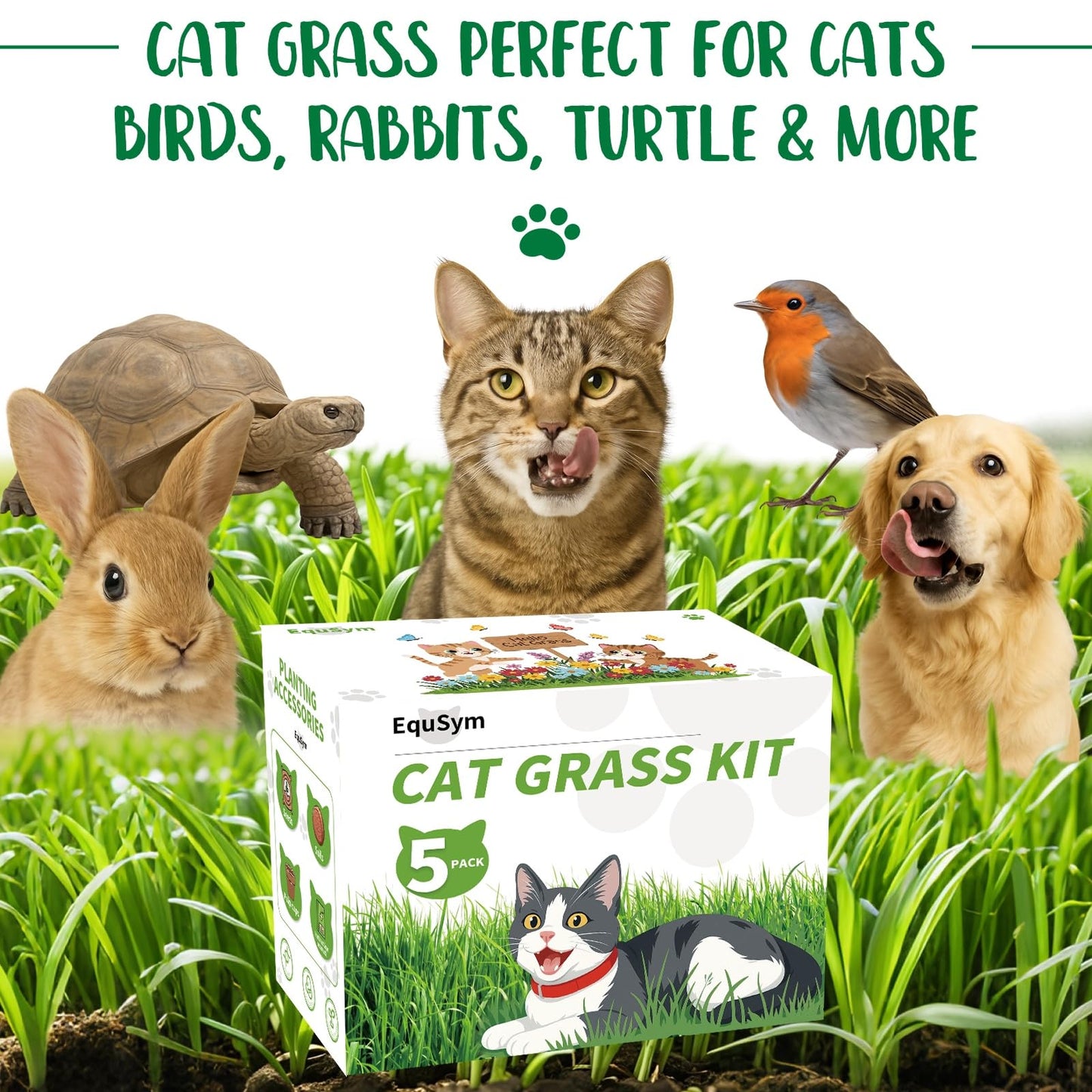 5Pack Cat Grass Seeds Kit - Cat Grass Seeds Growing Set for Indoor Cats, Non GMO Wheat Seed, Nutrient Soil & Planting Tools, Quick Germination, Perfect for Beginners