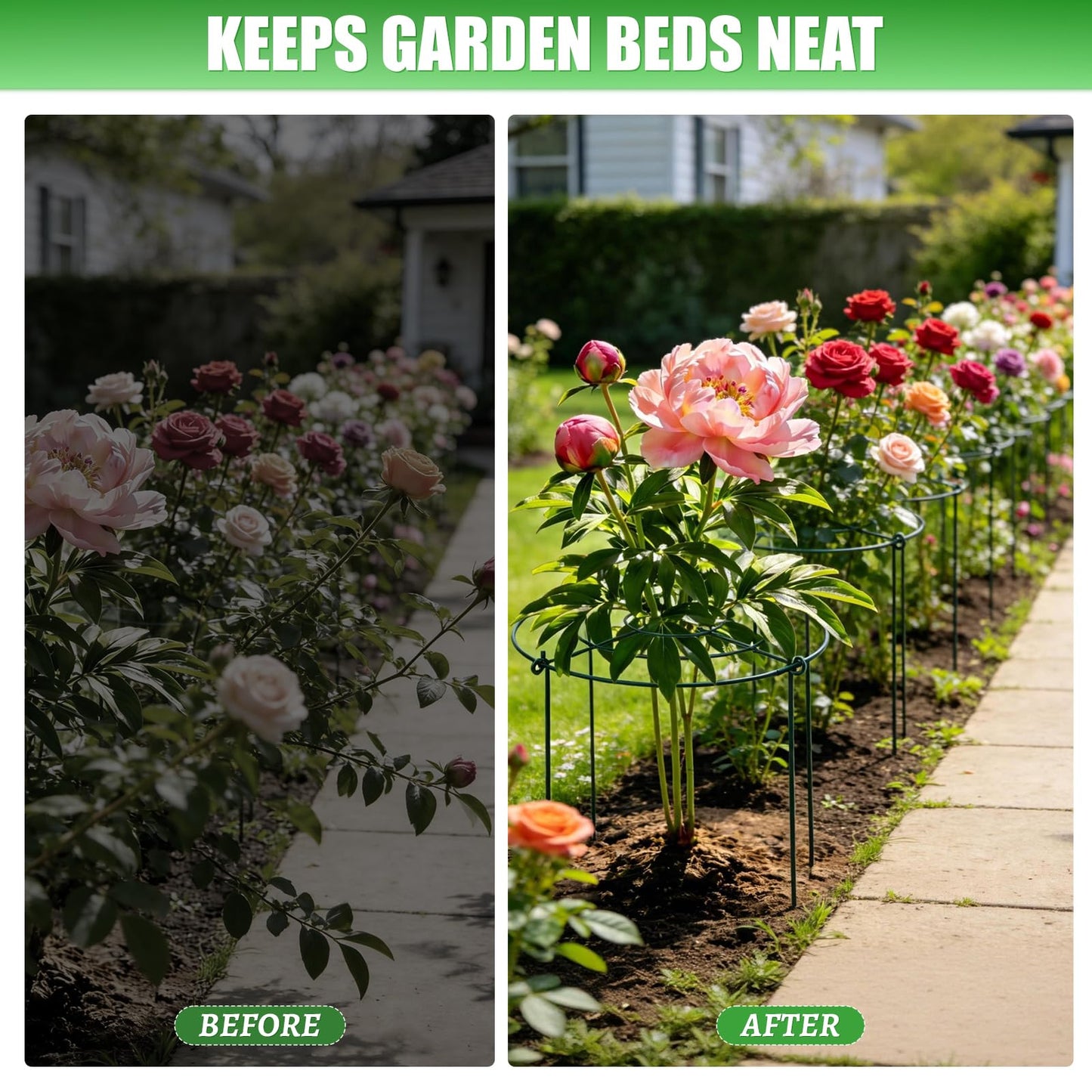 Peony Cages and Supports 8 Pack, 16.5 x 20 Inch Heavy Duty Plant Support Cage Set for Peonies, Roses & Tomatoes – Garden Stakes & Plant Cages for Outdoor Plants (8 Pack, 16.5 x 20 Inch)