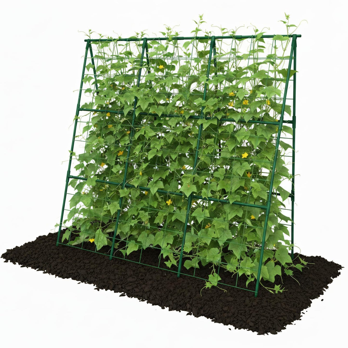 Trellume Cucumber Trellis - 49.4"*49.4" Metal Garden Trellis for Climbing Plants, Garden Trellis with Plastic-Coated Steel Pipe, A Frame Trellis for Cucumbers, Peas, Morning Glories(Green)