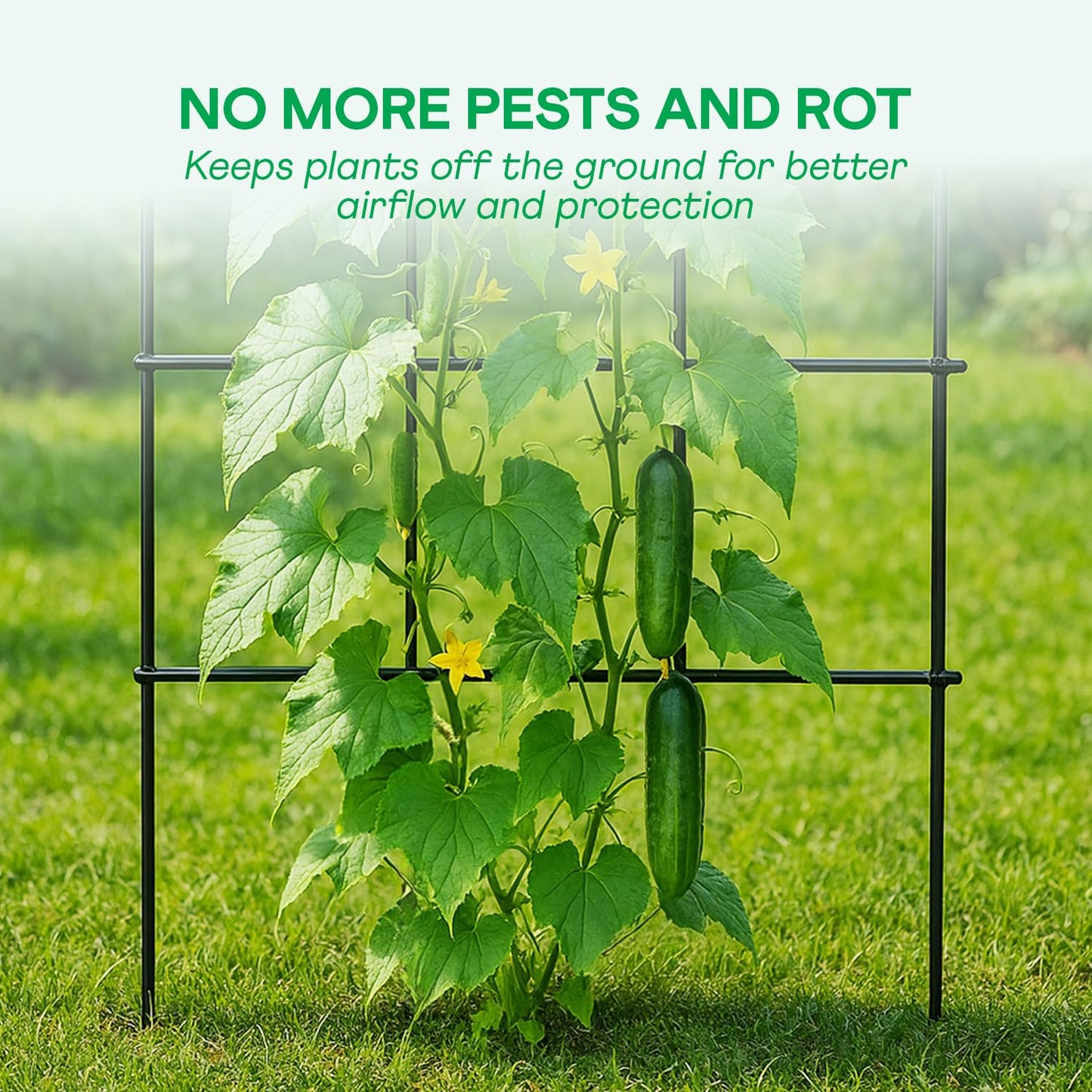 IDZO 2-Panel Folding Trellis, Basic Metal Decoration Trellis for Climbing Plants Outdoor, Tall Metal Plant Trellis with Steel Frame, Panel Trellis Garden Lattice for Vines & Vegetables