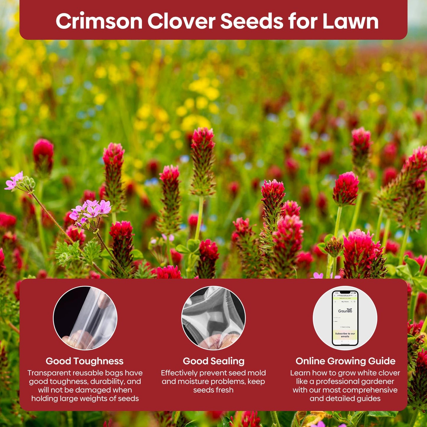 Groundio Crimson Clover Seeds, 5 lbs, Annual Red Clover Seeds for Lawn Alternative, Attracts Pollinators, Nitrocoated and Inoculated(Trifolium incarn)