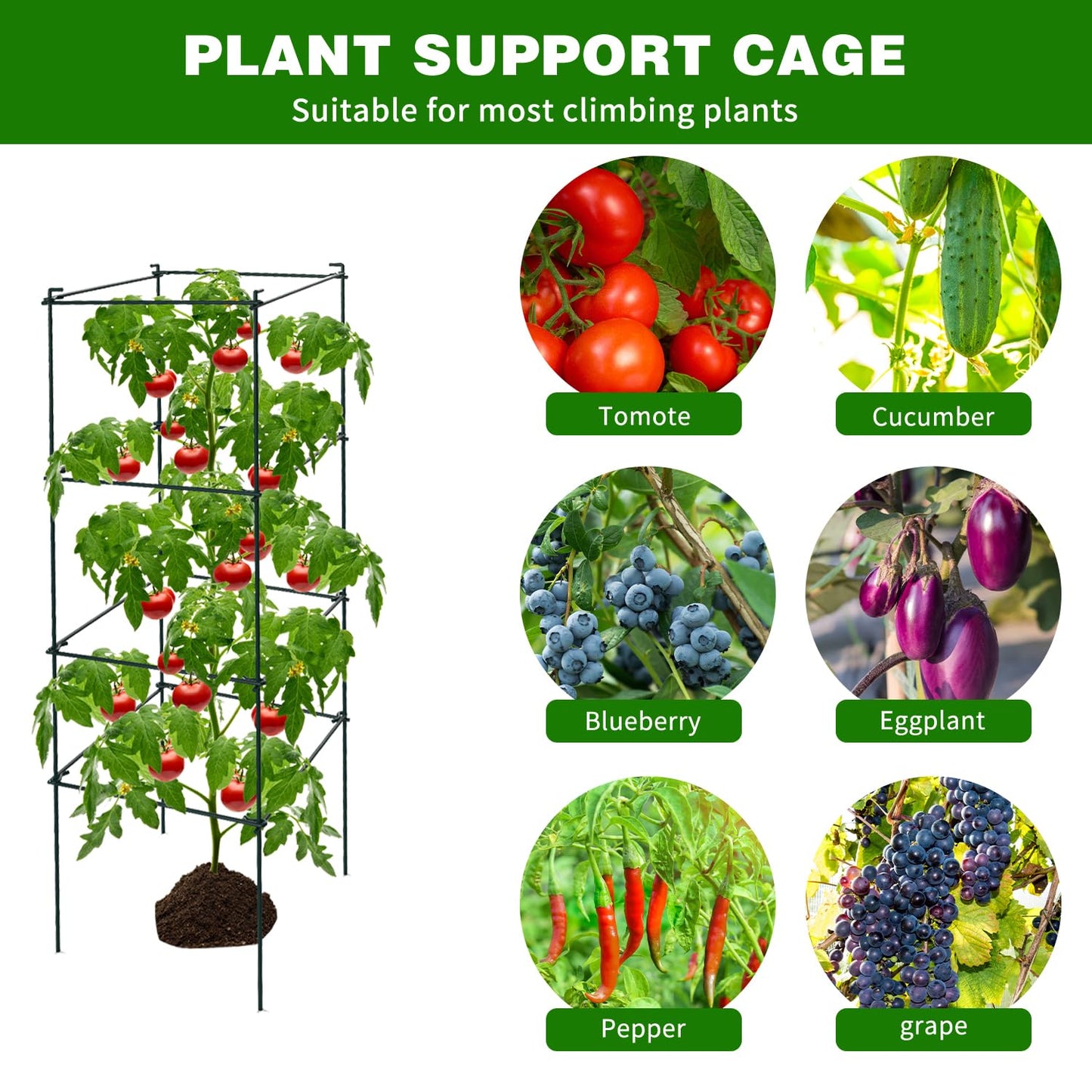 LAKNUAL 6 Packs Tomato Cages for Garden, 12"×12"×39" Plant Support Cage with Different Spacing, Green Metal Trellis for Climbing Plants Like Cucumber, Flowers