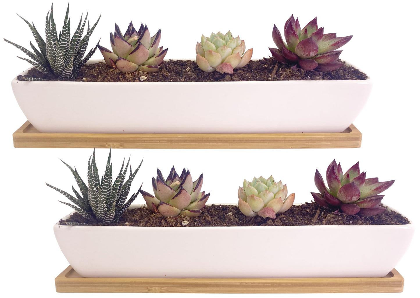 SWONVI 2 pcs 11.1 inch Long Rectangle White Ceramic Succulent Planter Pots/Mini Flower Plant Containers with Bamboo Saucers Plant Window Boxes for Office/Home, 11 x2.28x1.73inch