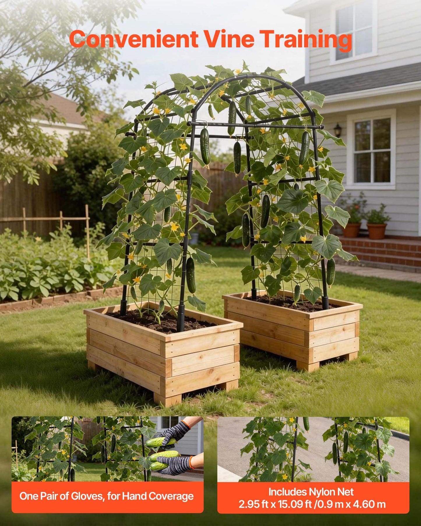 VEVOR Cucumber Trellis, 81 inch Tall Garden Arch Trellis, U-Shape Garden Trellises for Raised Bed, Metal Arch Outdoor Climbing Plants Support for Vine, Peas, Beans, Zucchini, Tomato, Squash, Flowers