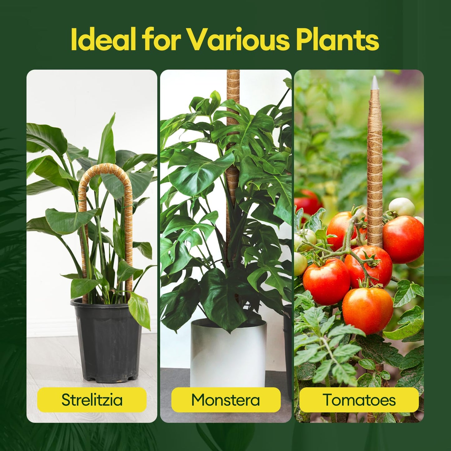 Maygrove 3-Pack 48” Bendable Moss Pole Monstera Plant Support for Climbing Indoors Plants, Coir Moss Poles Moss Sticks Plant Pole DIY, Plant Support Stake for Potted Plants
