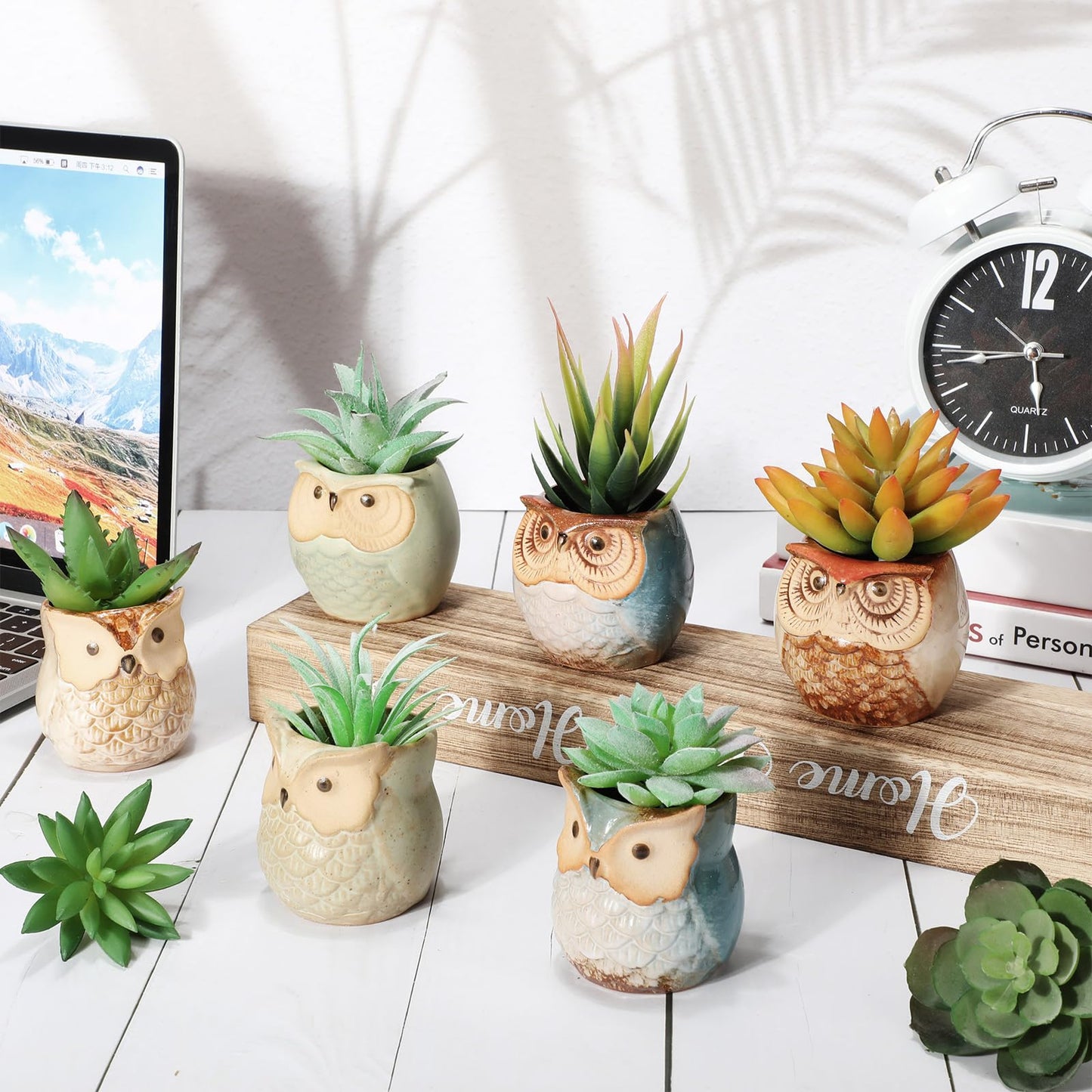 Nitial 24 Pack Owl Succulent Plant Pots Mini Small Ceramic Pots with Drainage Hole Cute Planters for Plants, Plants Not Included, Home Office Desk Garden Gift Ideas, 2 Size