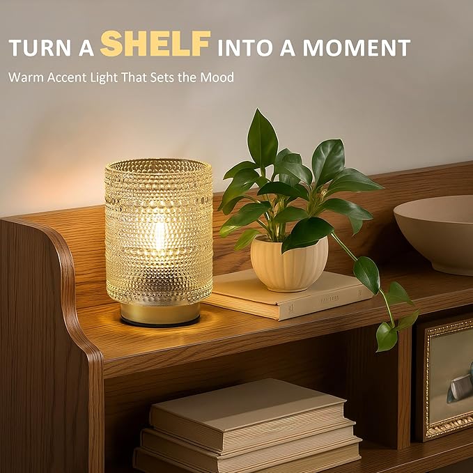 2 Pack Battery Operated Decorative Lamp with Timer for Bedside,Small Cordless Table Lamps with LED Warm Bulb for Shelf/Coffee Table/Entryway/ Bathroom or Kitchen Counter/ Dorm/Office Cubicle(Clear)