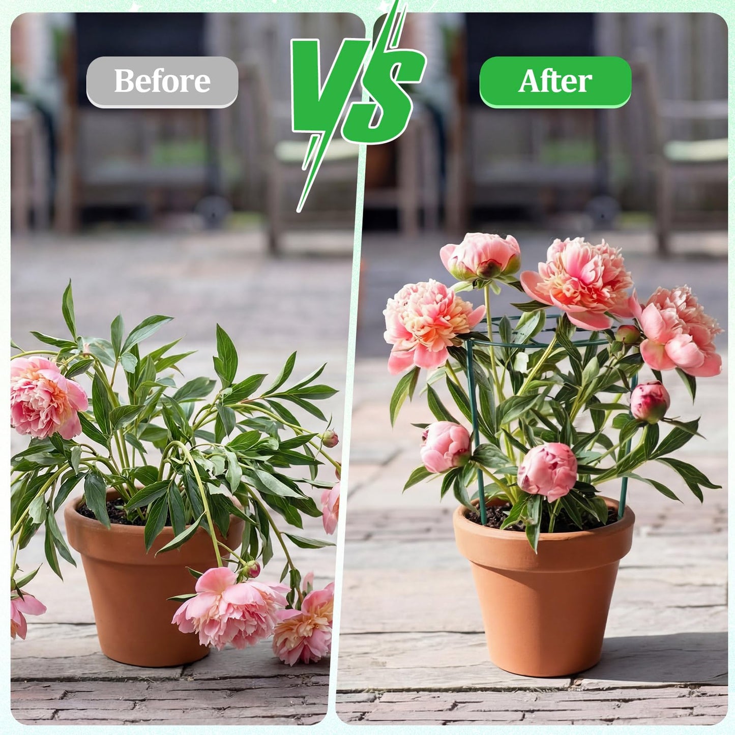 Novabright 2 Pcs 24" H x 20" D Large Peony Cage and Support Grow Through Plant Supports Round Garden Flower Stake Plants Ring Hoop for Outdoor Floral Tomato Vegetable Improve Planting Success Rate