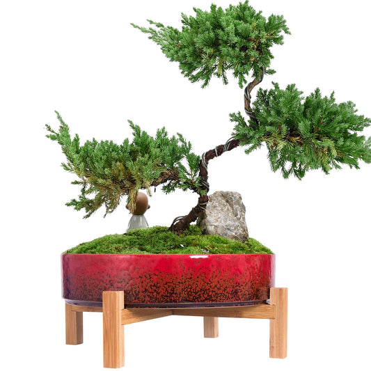 ARTKETTY Succulent Pots - 11 Inch Large Succulent Planters with Drainage Ceramic Bonsai Pots with Bamboo Stand, Shallow Cactus Flower Plant Container Bowl for Home Office Decor (Red)