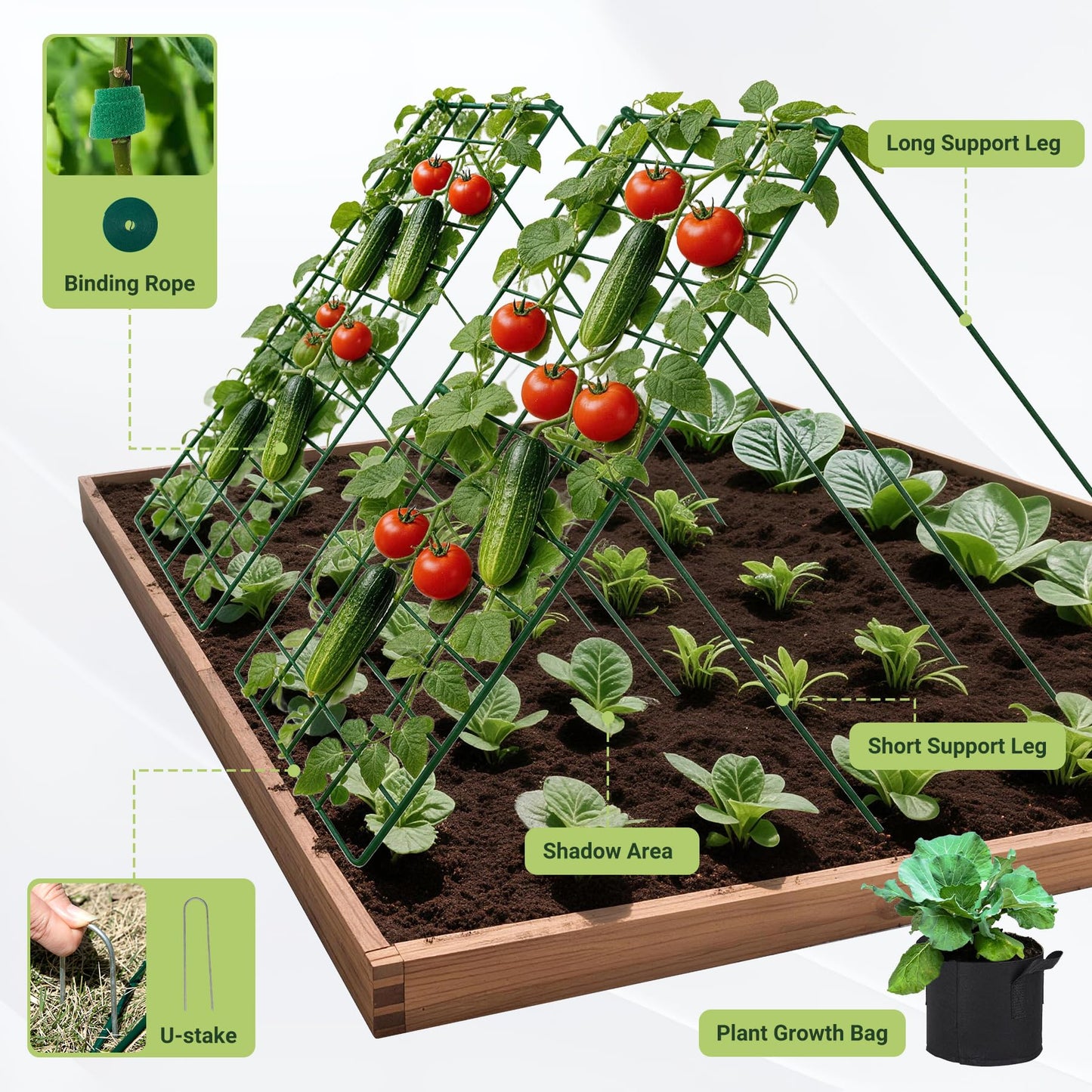 Toriexon Cucumber Trellis for Garden - 2 Pack, 48" L x 16" W Garden Trellis for Climbing Plants Outdoor with Support Structures, A Frame Trellis for Climbing Vegetables Peas, Vine, Bean