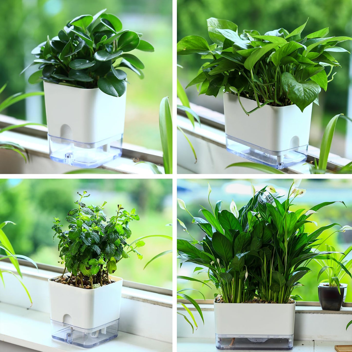 Planterhoma Self Watering Plant Pots for Indoor Plants 7 inch, 4 Packs Rectangle Self-Watering Planters with Drainage Hole, White African Violet Pots for Devil's Ivy, Spider Plant, Orchid, Herb