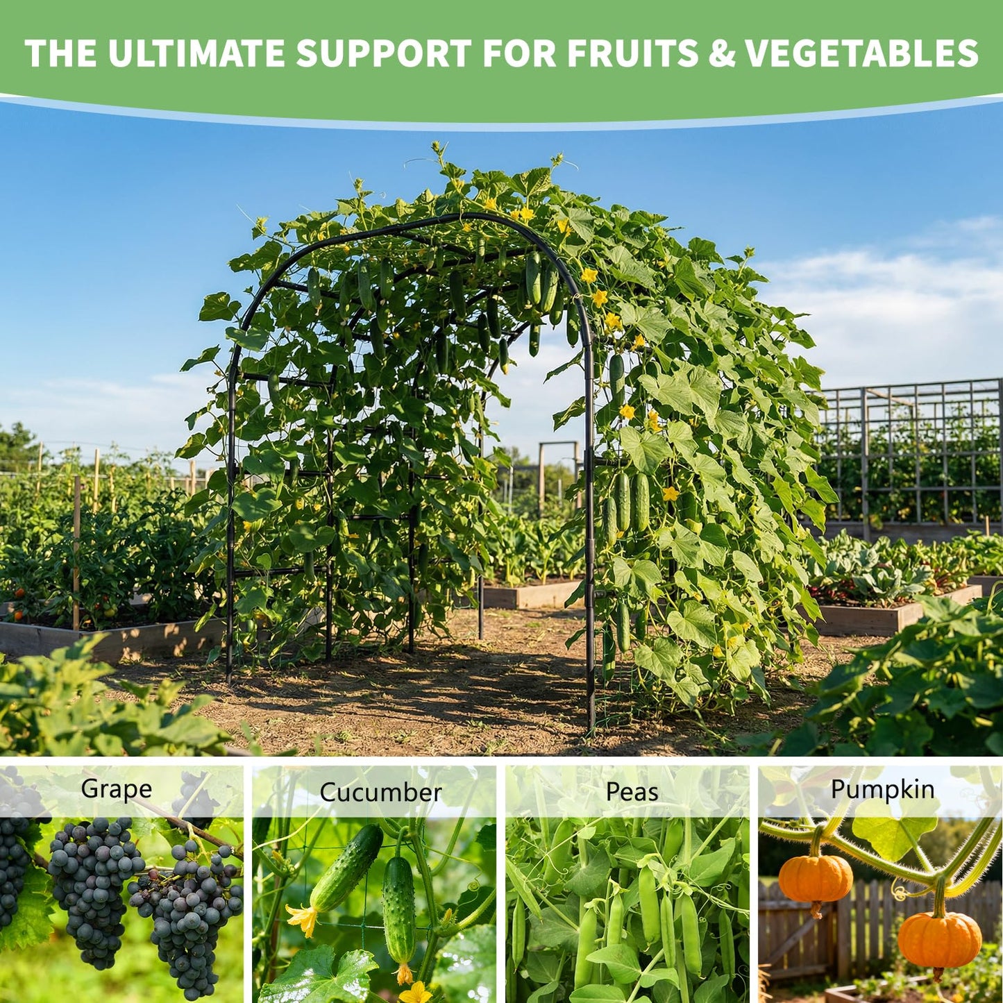 DoCred Garden Arch Trellis, 88in H x 88in L Tall Garden Arch Arbor Trellis for Climbing Plants Outdoor Plant Support for Cucumber Grape Vine, Large Metal Gardening Archway for Lawn Party Ceremony