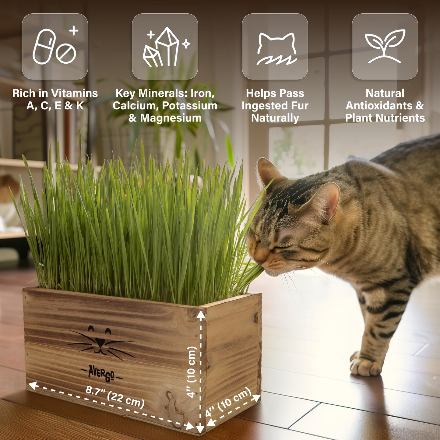 Cat Grass Kit for Indoor Cats – x4 Seed Packets | Cat Grass Seeds with Wooden Planter, Soil & Mini Gardening Tools for Nipping & Nibbling – Pet Wheatgrass Grass