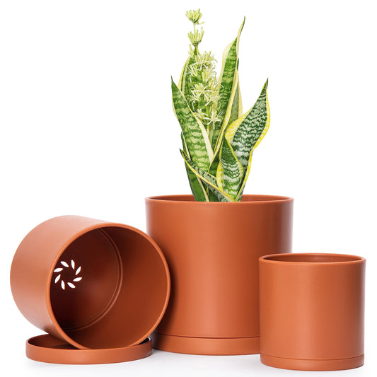 D'vine Dev 4 Inch 5 Inch 6 Inch, Set of 3 Plastic Planter Pots for Plants with Drainage Hole and Seamless Saucers, Terracotta Color, Small, 74-V-C-1