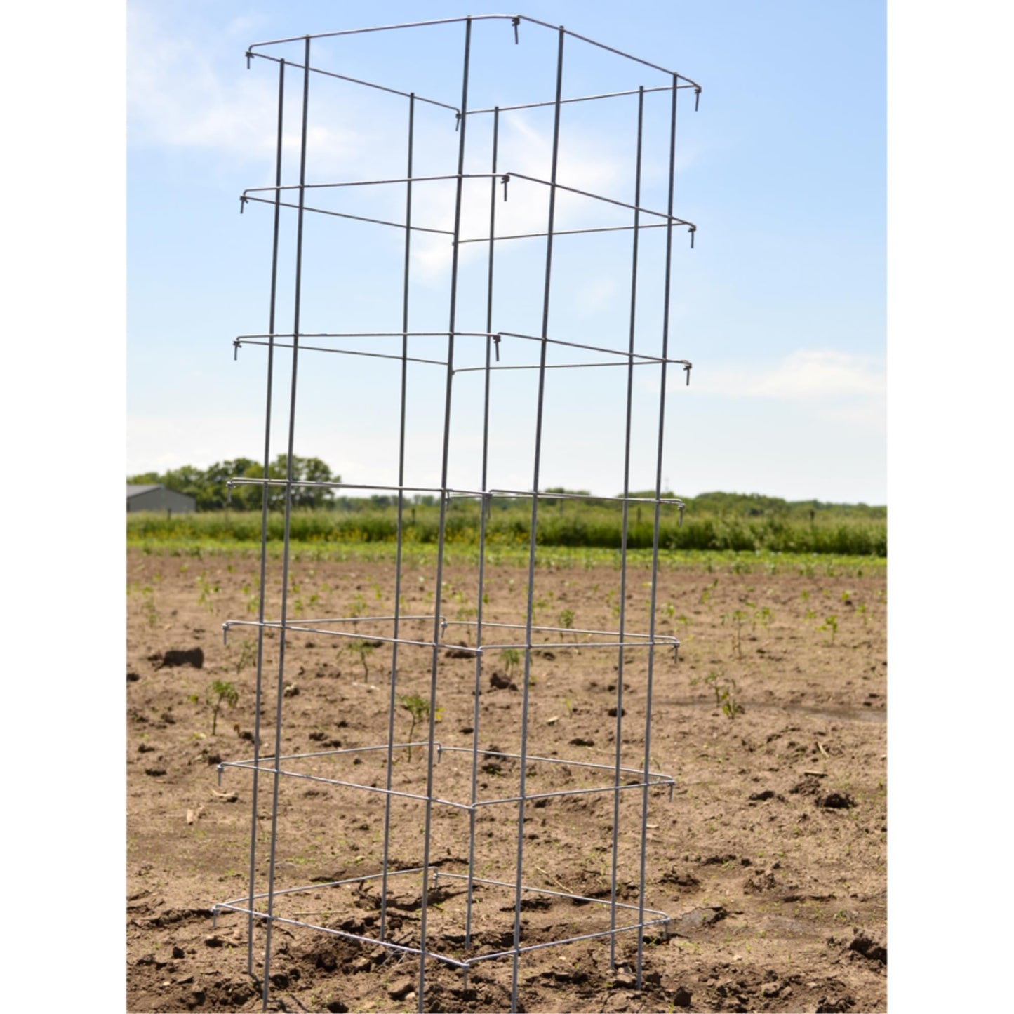 Garden Elements Square Tomato Cage, 58 Inch (Pack of 3) – Heavy Duty Galvanized Steel Plant Support, Collapsible Garden Trellis with 8-Leg Stability for Climbing Vegetables & Vines