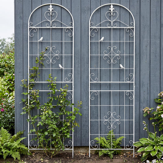 Garden Trellis for Climbing Plants Outdoor, Maidapulu 2 Pack 70.8x19.6 Inch White Metal Trellis - Rustproof Lattice Support Panel with Easy Assembly for Roses, Clematis, Cucumbers, Vegetable Garden