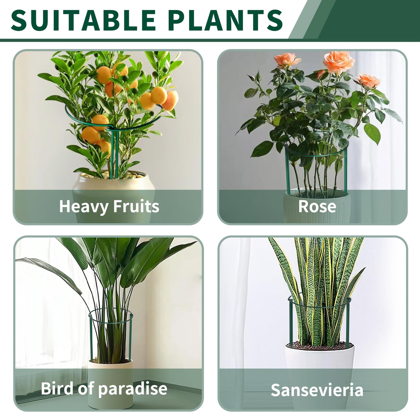 SORANGEUN 10 Pack Peony Cages and Supports, 10" (W) x 24"(H) Plant Support, Heavy-Duty Metal Plant Support Stakes, Plant Stakes for Outdoor & Indoor Plants, Perfect for Flowers and Vegetable