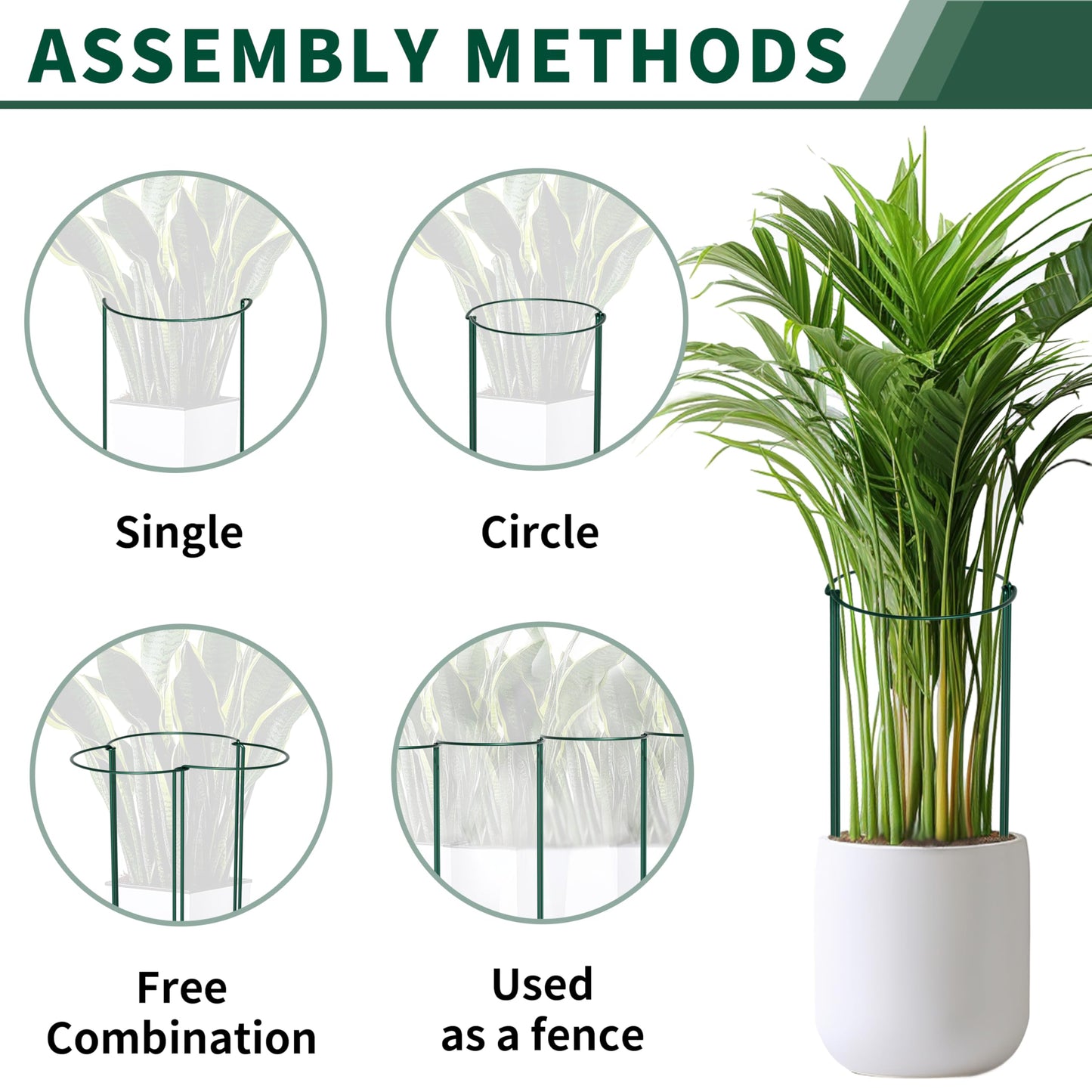 SORANGEUN 10 Pack Peony Cages and Supports, 10" (W) x 24"(H) Plant Support, Heavy-Duty Metal Plant Support Stakes, Plant Stakes for Outdoor & Indoor Plants, Perfect for Flowers and Vegetable