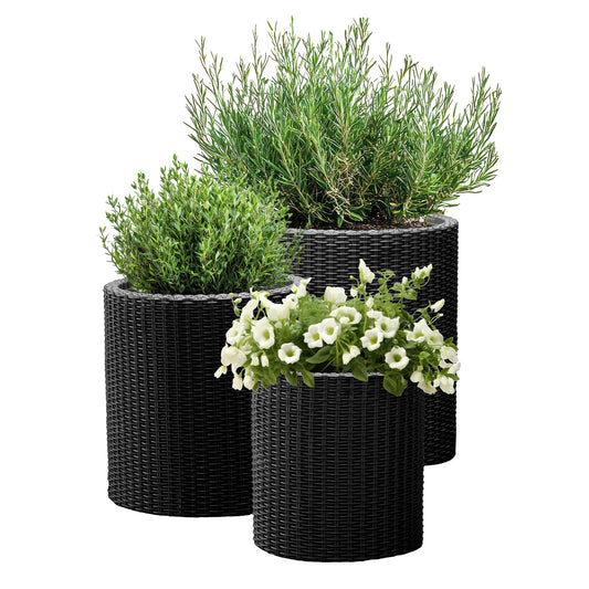 Keter Cylinder Set of 3 Rattan Resin Planter for Indoor and Outdoor Plants Ideal Decorative Planter for Porches and Patio Decor, Black
