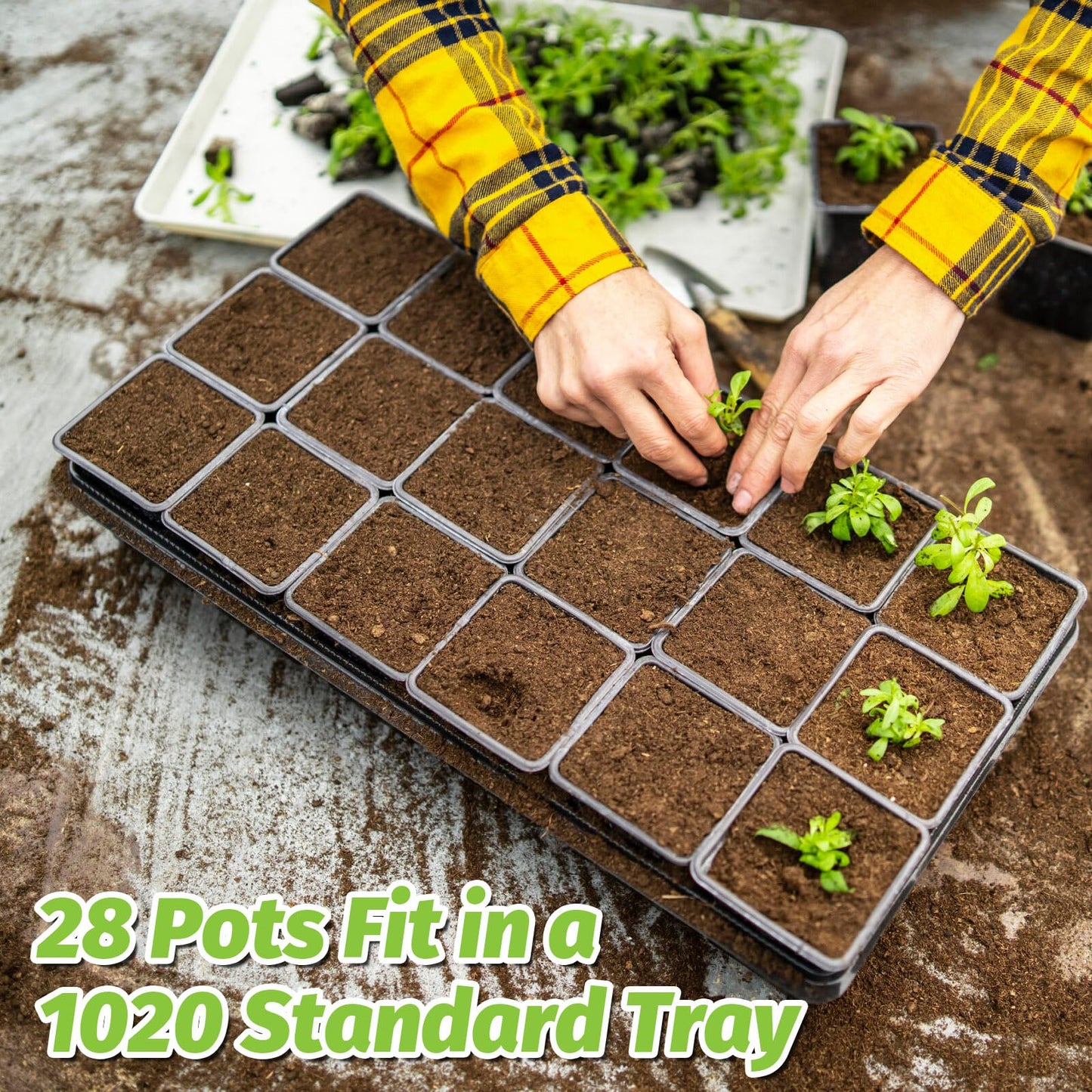 100 Pcs 2.6" Square Nursery Pots for Seeds - Thickened Reusable Plastic Seedling Pots with 60 Plant Labels & Tools - Seed Starter Pots with Drainage for Succulents, Flowers, Cuttings & Greenhouse