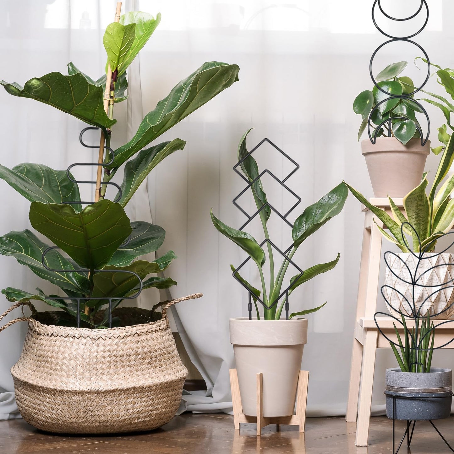 6(Six) Plant Trellis for Climbing Plants Indoor, 2(Two) Expandable Large Metal Trellis for Potted Plants and 4(Four) Trellis for Potted Plants