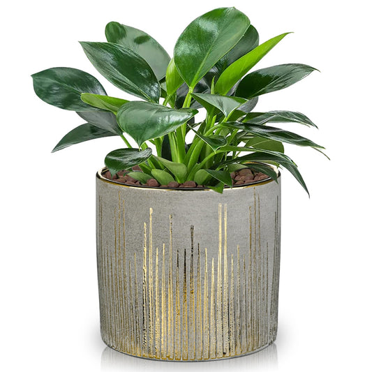 Small Ceramic Pot for Indoor Plants, 5.3 inch Plant Pot with Drainage Hole Decorative Texture Gold Planter Indoor Outdoor Flower Pots for Succulent Snake Plant Pothos Orchid