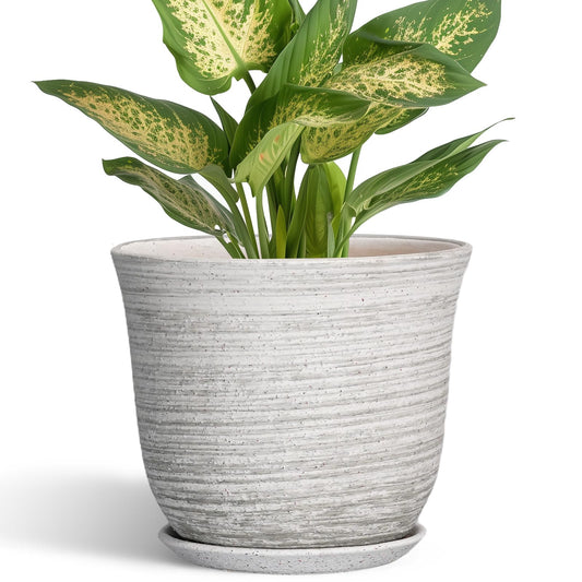SUNPOTFOR Ceramic Pots for Plants - 5.6 Inch Plant Pot with Drainage Hole and Tray, Round Succulents Pots for Indoor Outdoor, Decorative Planters, Home Room Office Decor, Gifts for Plant Lovers, Grey
