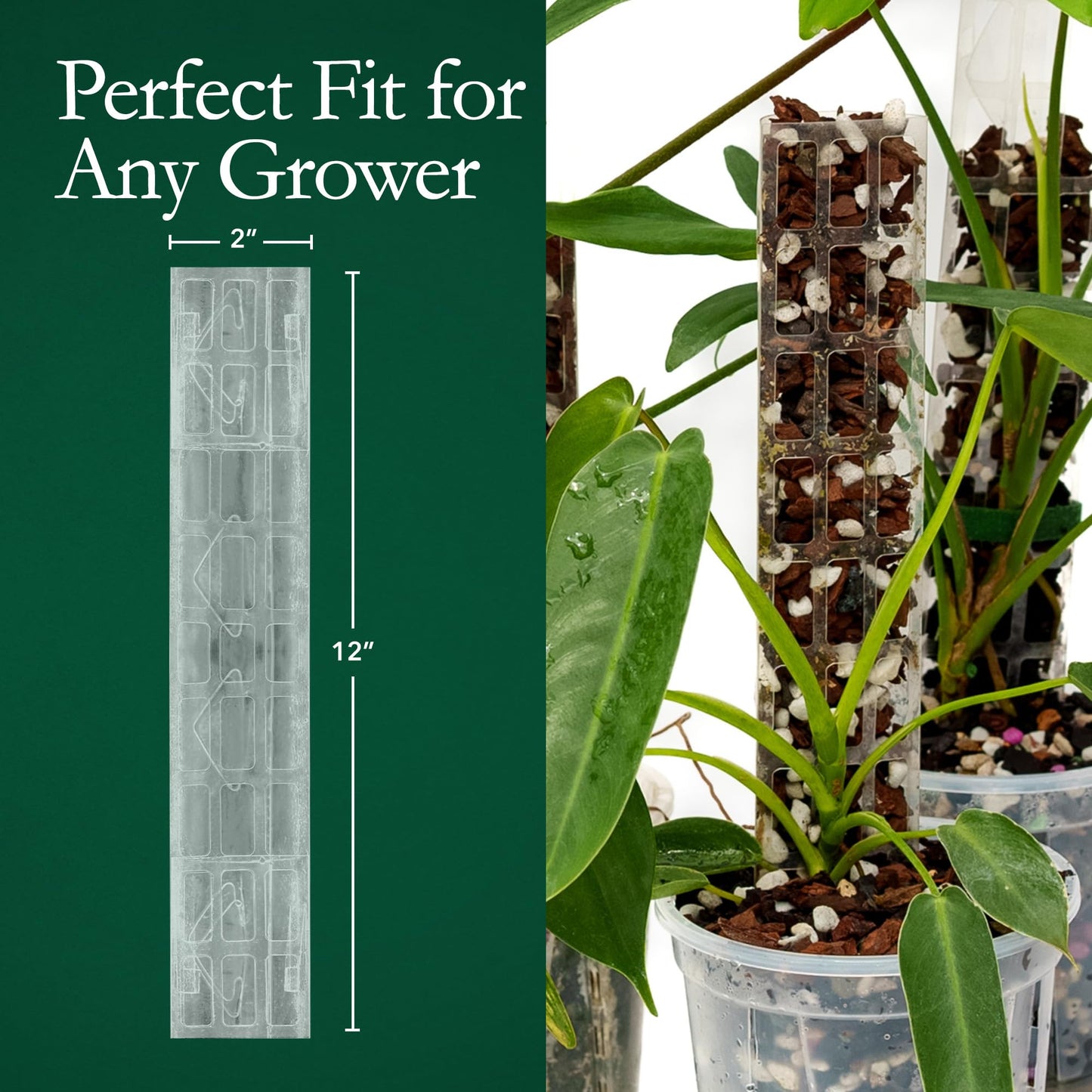 THICCLY V2 GrowPole Small 10 Pcs - Front Opening Clear Moss Poles for Climbing Plants, D-Shaped Moss Pole for Monstera Plant Support Plant Climbing Pole, Plastic Plant Pole Support for Philodendron