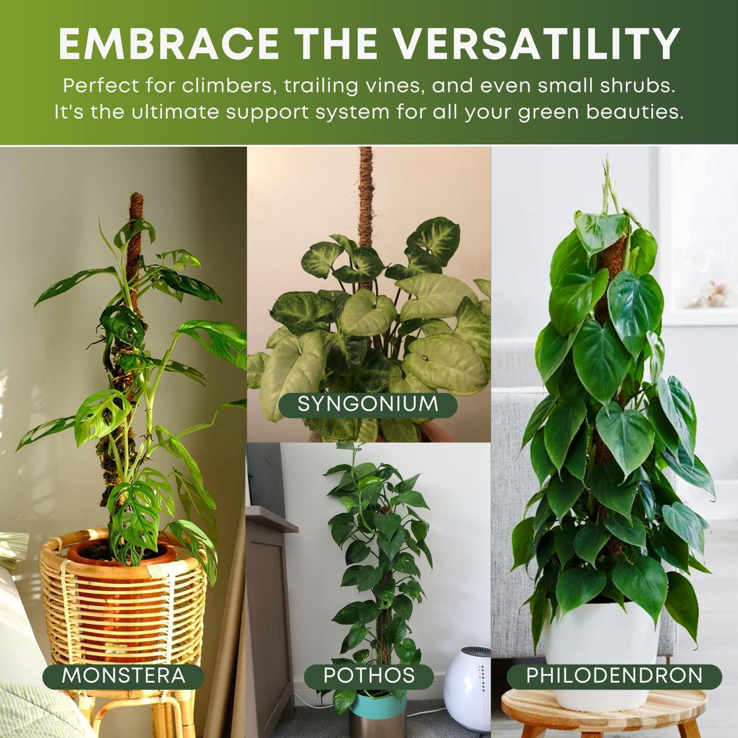 Auraville Bendable Moss Pole for Plants | 2 Pack 60 Inch Tall Moss Pole Monstera Plant Support | Large Poles for Climbing Plants | Handmade Plant Sticks Support Tall Potted Plants