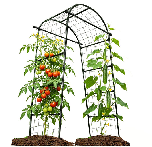 Garden Arch Trellis for Climbing Plants Outdoor 6.7 ft Height Large Tunnel Trellis Support for Vegetables Plant Cucumber Trellis for Garden Raised Bed, Black