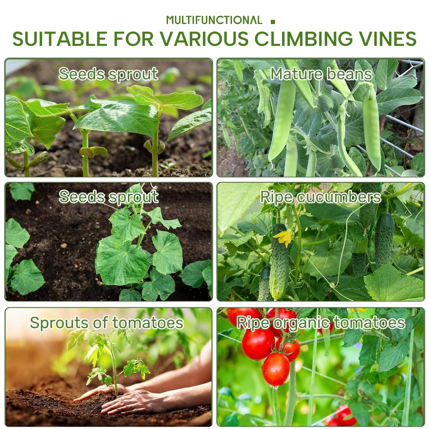 HPC Decor Cucumber Trellis for Raised Bed, 6 FT Tall Garden Trellis for Climbing Plant Outdoor, Metal A Frame Trellis with Climbing Net, Support for Vegetable, Grape, Tomato, Peas, Fruit, Vine.