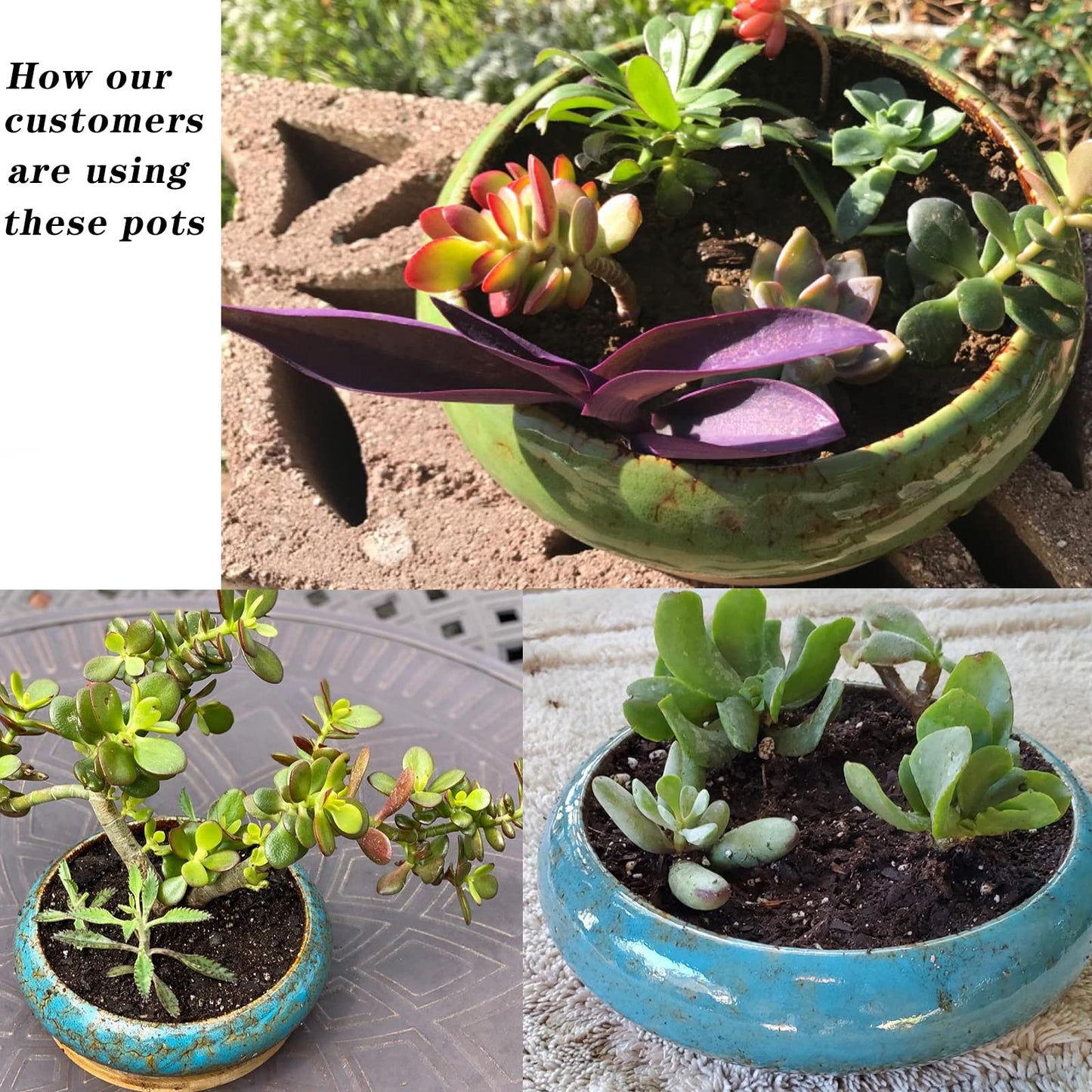 ARTKETTY Succulent Pots with Drainage, Large Succulent Planter with Stand and Saucer Shallow Bonsai Pots Ceramic Cactus Flower Planter Pot for Indoor Plants (7.3 and 10'')