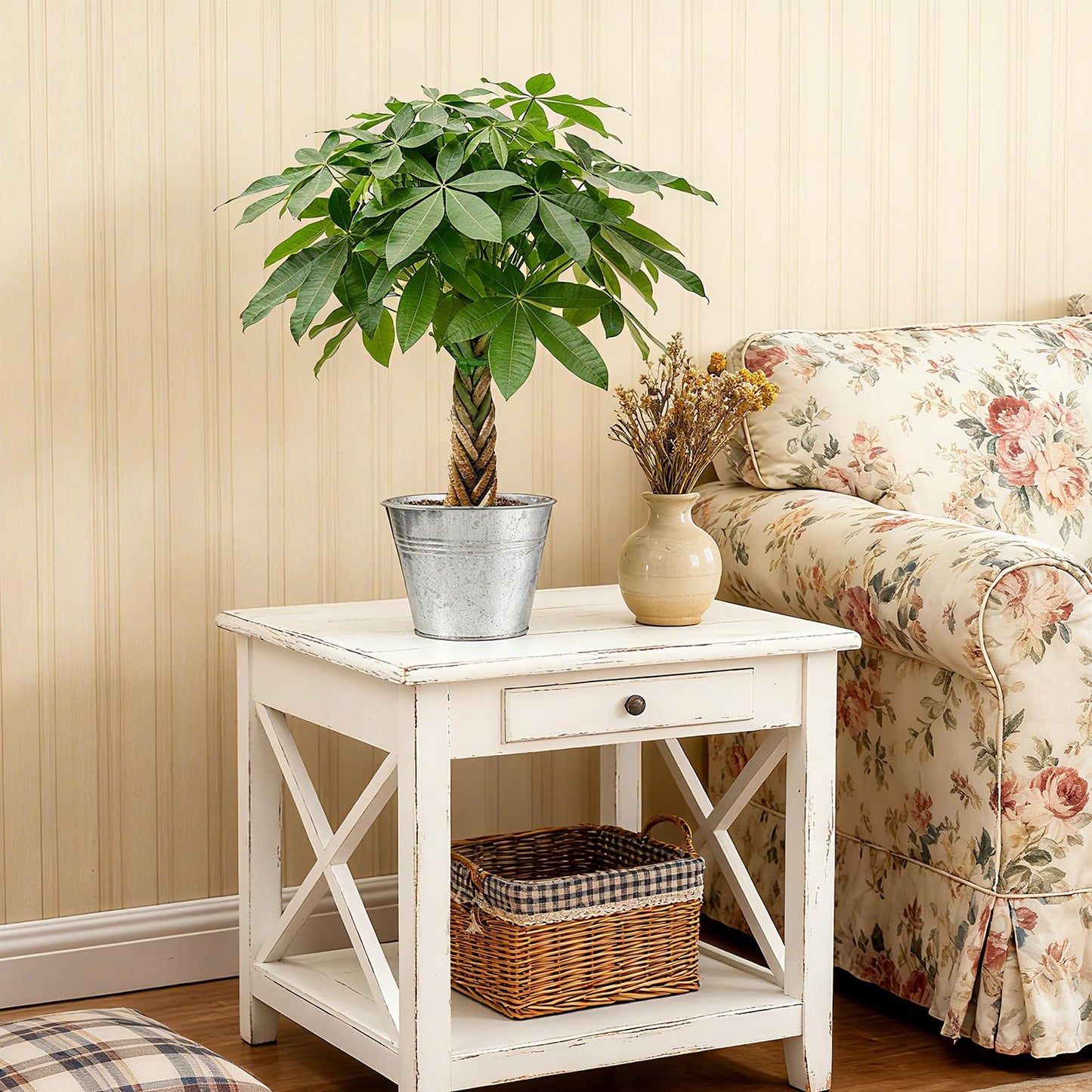 Sprout N Green 8-10" Money Tree with 5 Lucky Braid, Live Plant with Silver Metal Pot, Decoration for Indoor Home Office Tabletop Windowsill Side Table, Housewarming Christmas Gift