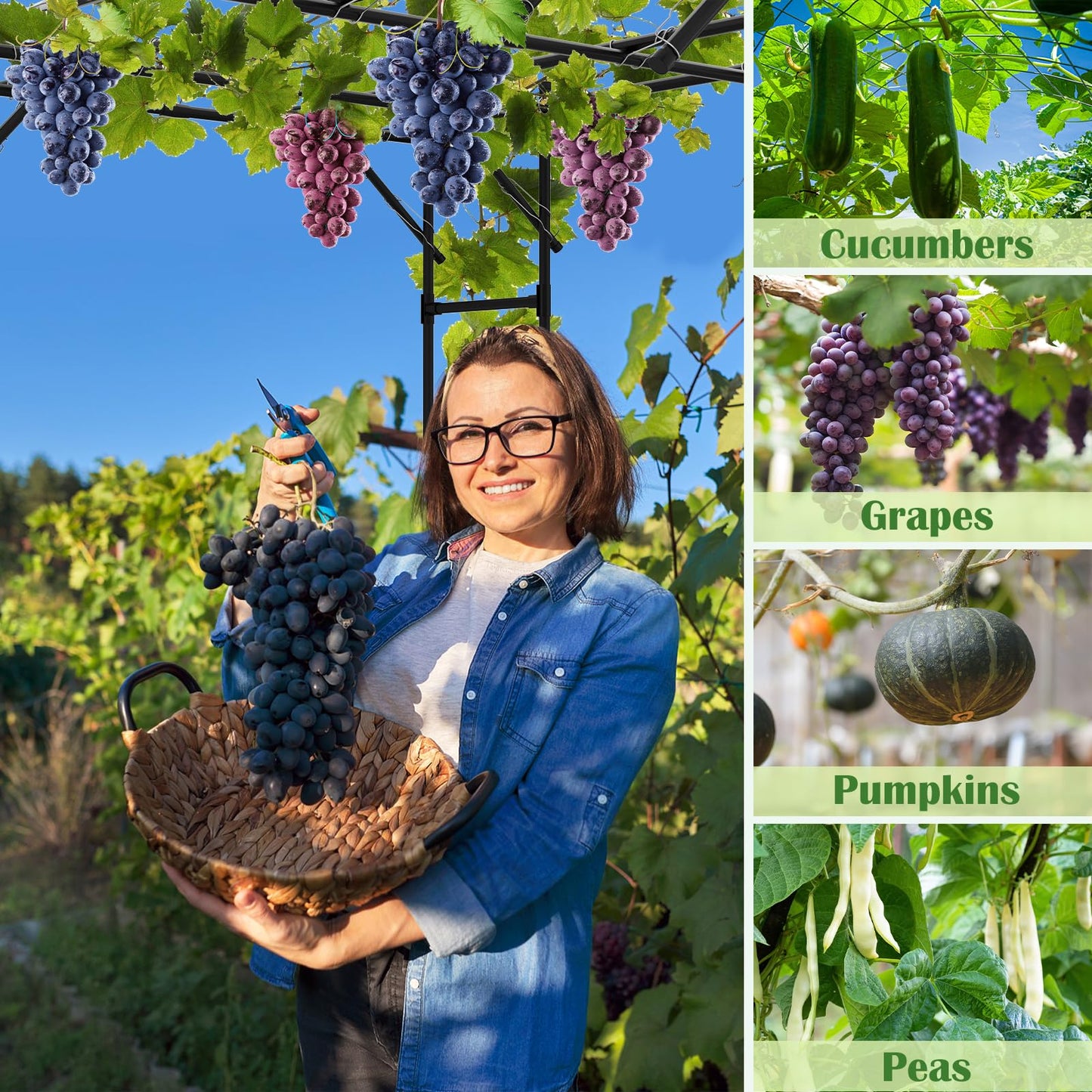 Garden Arch Trellis, 87in H x 118in L Large Garden Arch Arbor Trellis for Climbing Plants Outdoor Plant Support for Cucumber Grape Vine,Tall Metal Gardens Archway for Lawn Party Ceremony