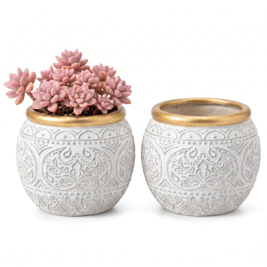 Ten-stone 2Pcs 5.9 Inch Cement Planters, Vintage Planter with Gold Rim and Drainage Holes, Decorative Indoor Containers for Succulents, Herbs, Home & Office