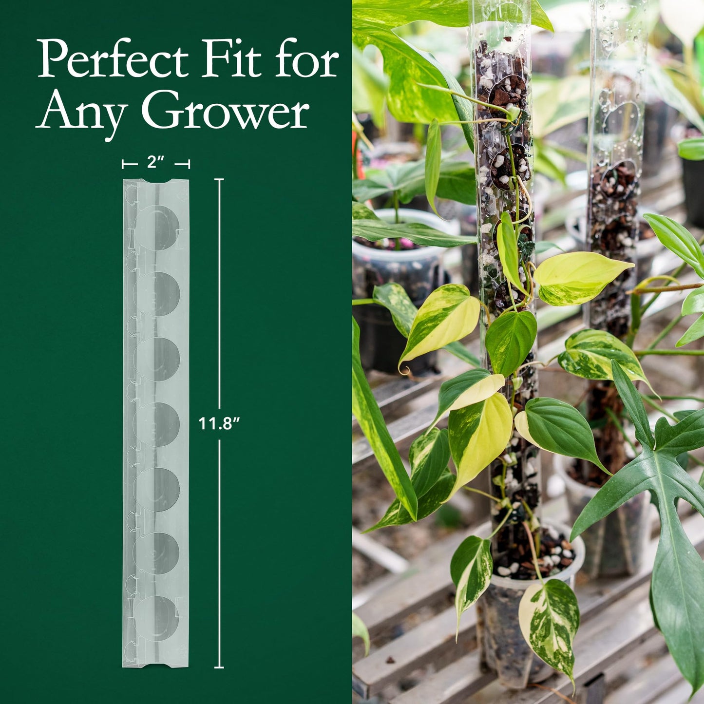 THICCLY V3 GrowPole Small 10 Pcs - Front Opening Plastic Moss Poles for Climbing Plants, D-Shaped Moss Pole for Monstera Plant Support Plant Climbing Pole, Plastic Plant Pole Support for Philodendron