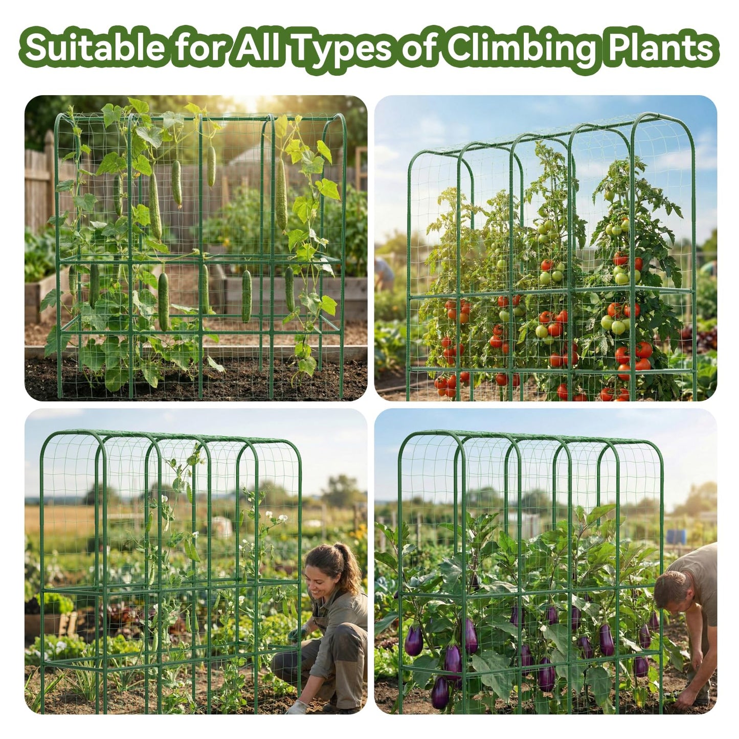 62" Tall Cucumber Trellis for Raised Bed, Garden Trellis for Climbing Plants Outdoor, U-Shape Metal Arch Vegetables Trellis Plant Support for Zucchini Squash Vines