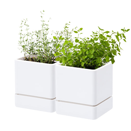 D'vine Dev 4 Inch Herb Planter Pot, Plastic Planter with Drainage Holes and Saucer, Modern Decorative Gardening Pot for Indoor Plants, Flowers, Herbs, Succulents, White, Set of 2, 76-Y-A2-1