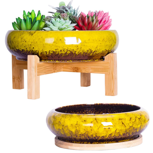 Succulent Pots, Large Succulent Planter with Stand, 7.3/10 Inch Bonsai Planters with Drainage Trays Ceramic Pot for Indoor Cactus Flower Plants Set of 2